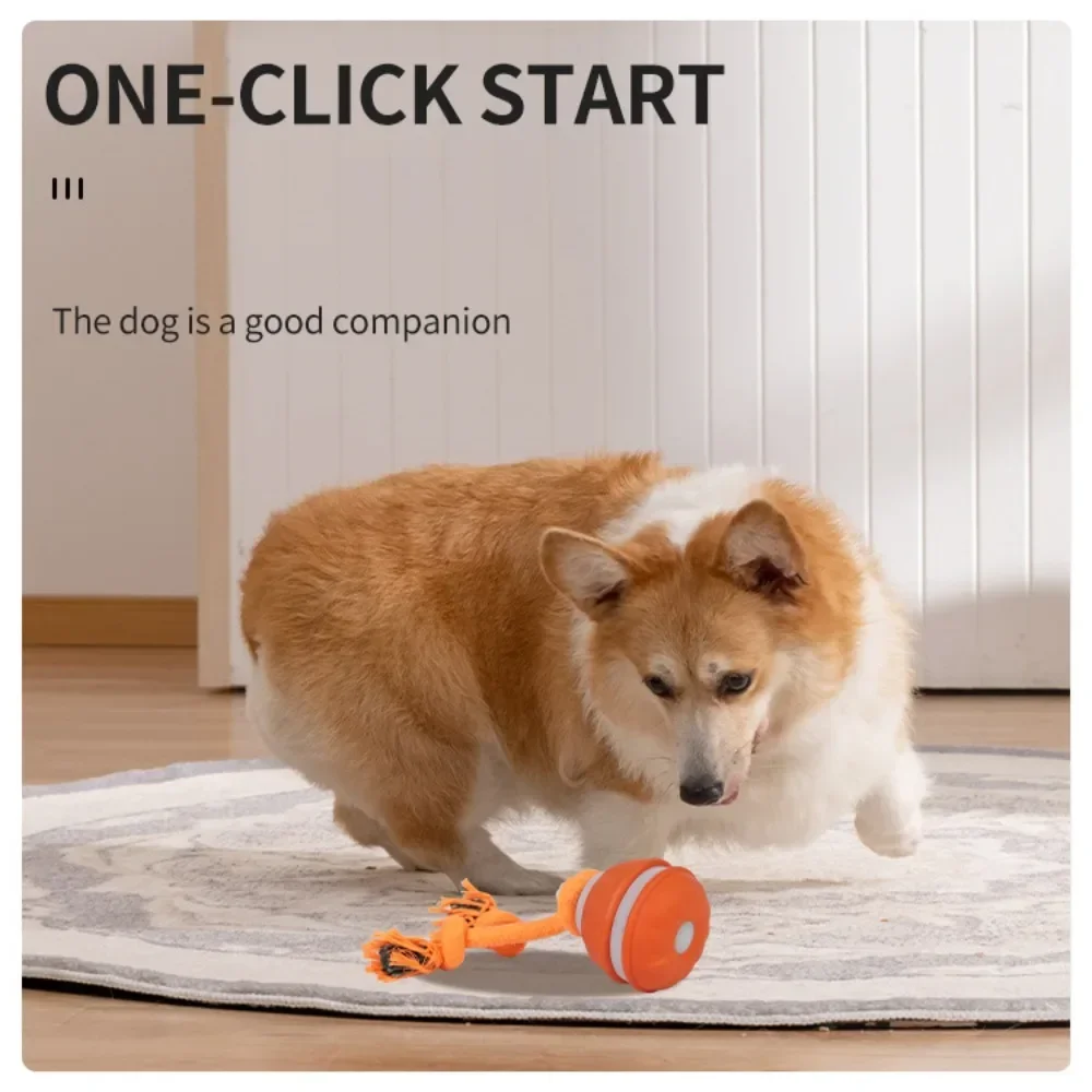 Pet Ball for Dogs Interactive  - огляд і ціна Automatic Moving Dog Ball