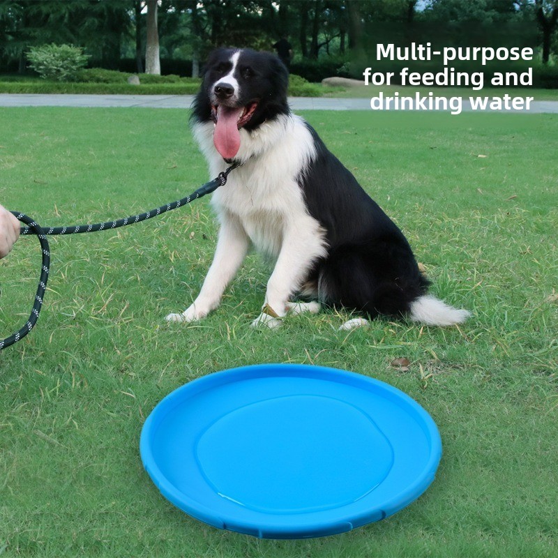 Multicolor Frisbeed Dog Toy 22 - огляд і ціна Flying Disc Dog Training Toy