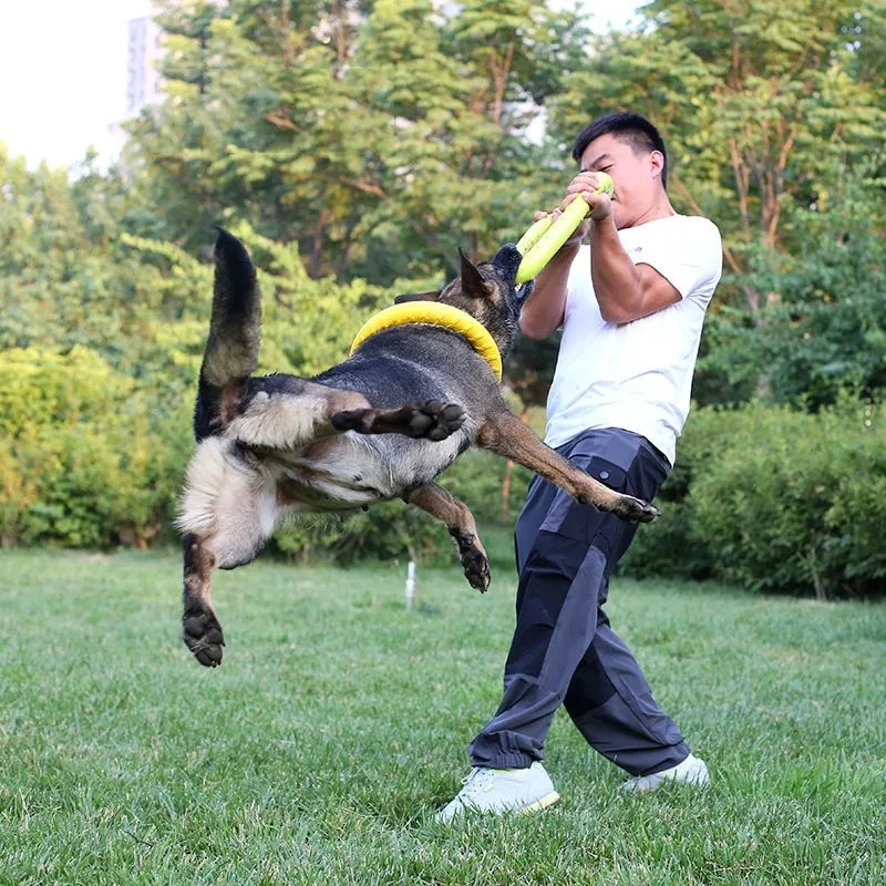 Dog Toys Pet Flying Discs EVA  - огляд і ціна Indestructible Dog Chew Toy